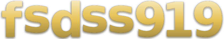 fsdss919 logo